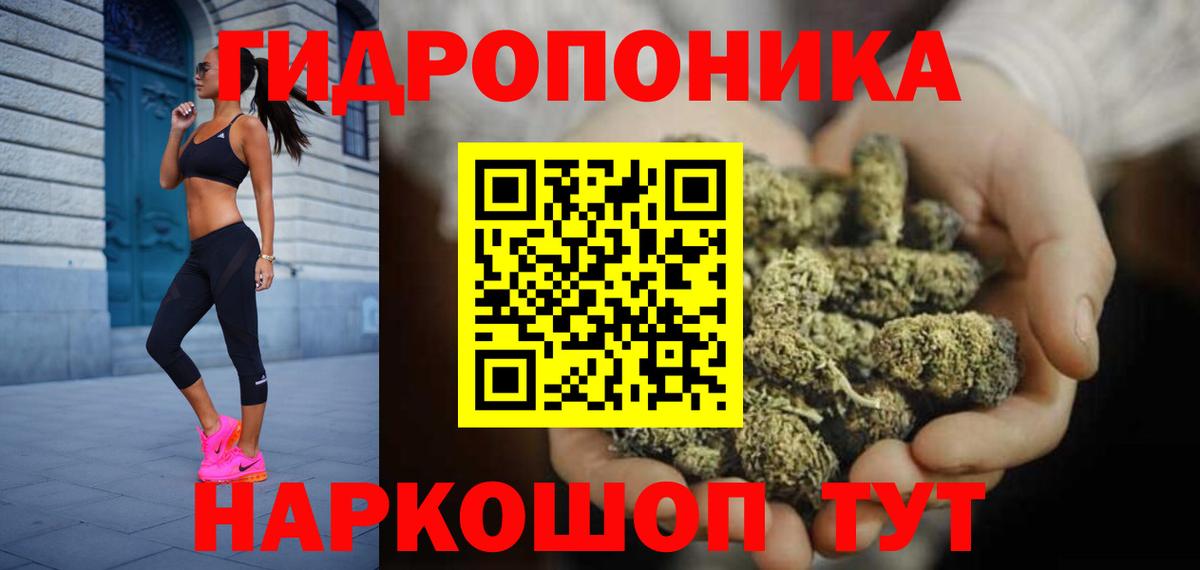 Бошки Шишки планчик Абинск